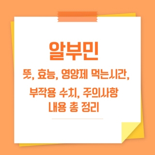 알부민 썸네일
