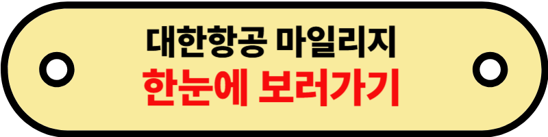 대한항공마일리지공제표2