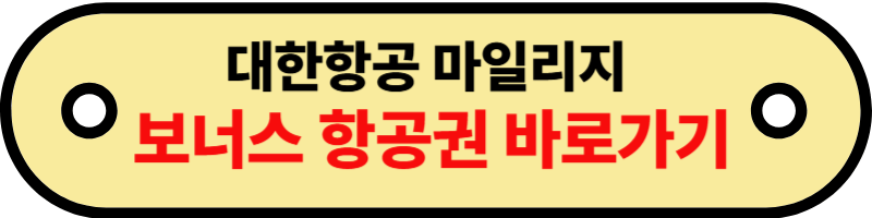 대한항공마일리지공제표3