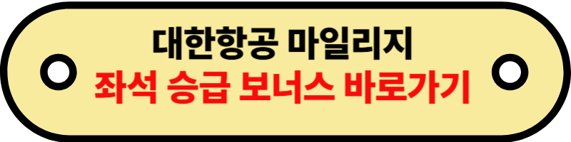 대한항공마일리지공제표4